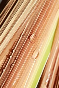 مزایای خرید و استفاده از نانو چوب